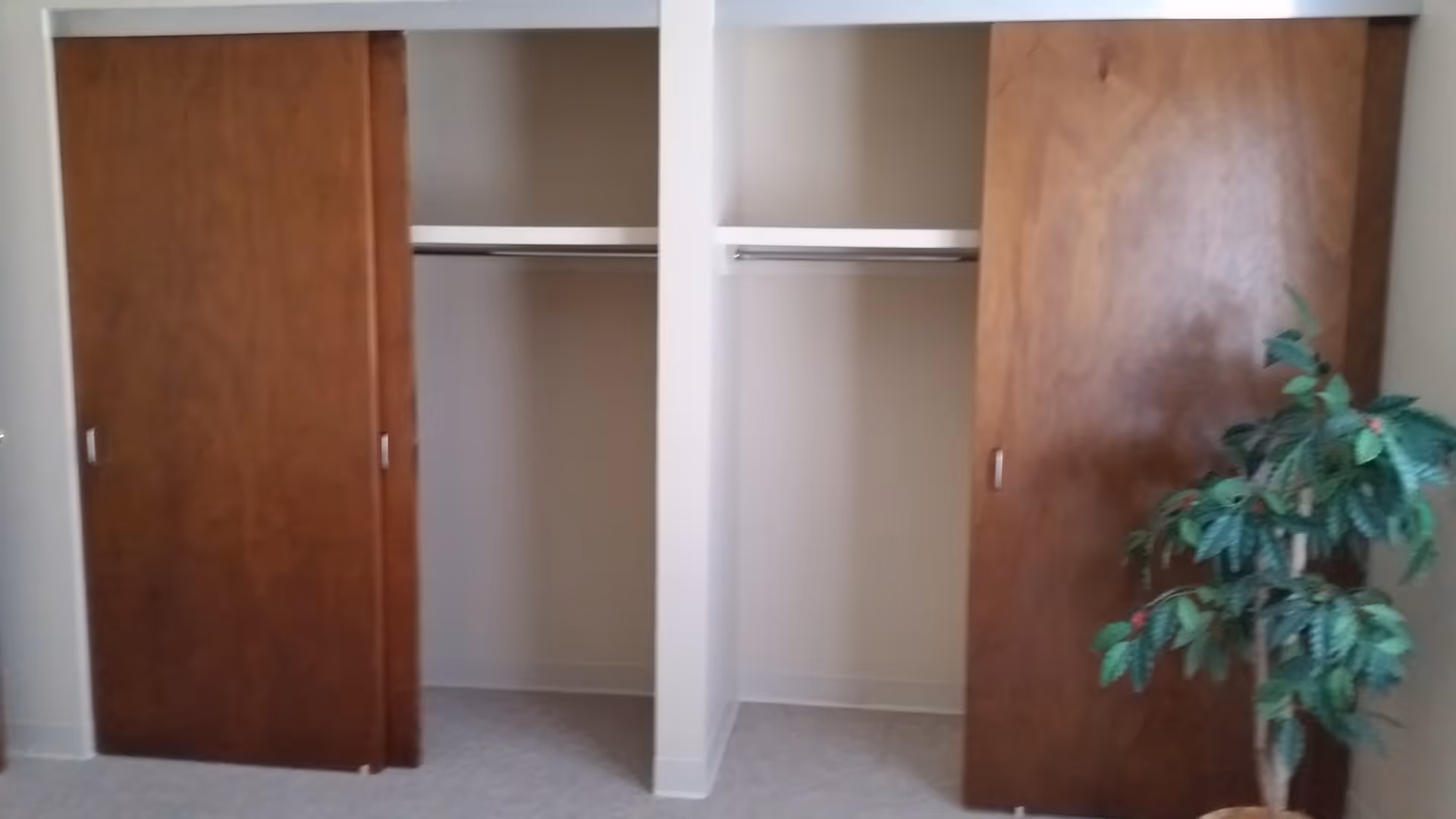 Two adjacent closets with wooden sliding doors partially open, revealing empty hanging rods inside. A green leafy potted plant is visible on the right side of the image.