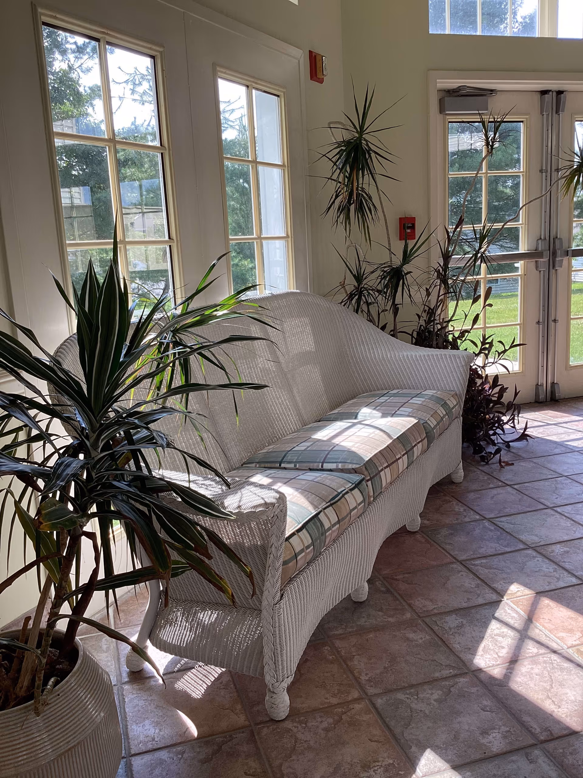 A sunlit indoor seating area with a white wicker loveseat featuring plaid cushions, surrounded by tall potted plants near large windows and glass doors.