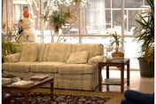 A cozy living room area with a beige patterned sofa, a wooden coffee table with books and a decorative item, a side table with a lamp, and several potted plants near large windows letting in natural light.