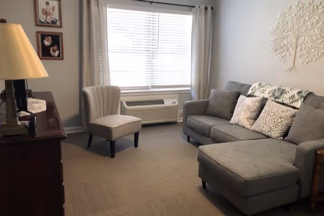A cozy living room with a gray sectional sofa adorned with patterned pillows, a beige upholstered chair, a wooden dresser with a lamp on top, and a large window with white blinds and curtains. A decorative metal tree wall art hangs above the sofa.