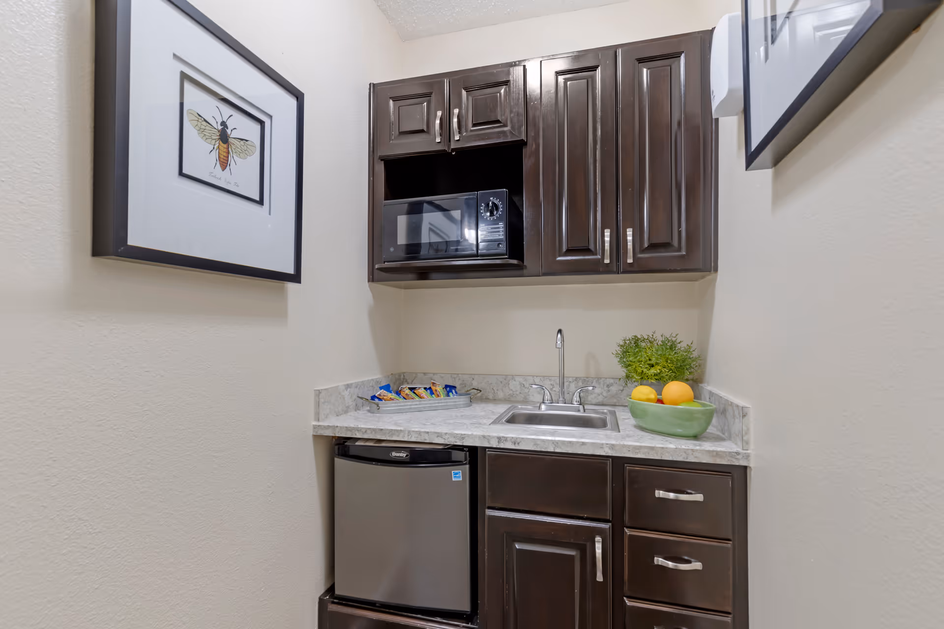 Dark wood kitchenette with sink, microwave, mini fridge, fruit bowl, and framed insect art