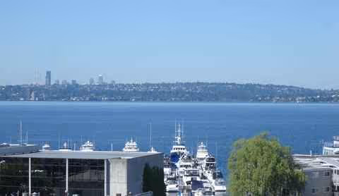 Scenic harbor view with boats and distant city skyline beyond trees.
