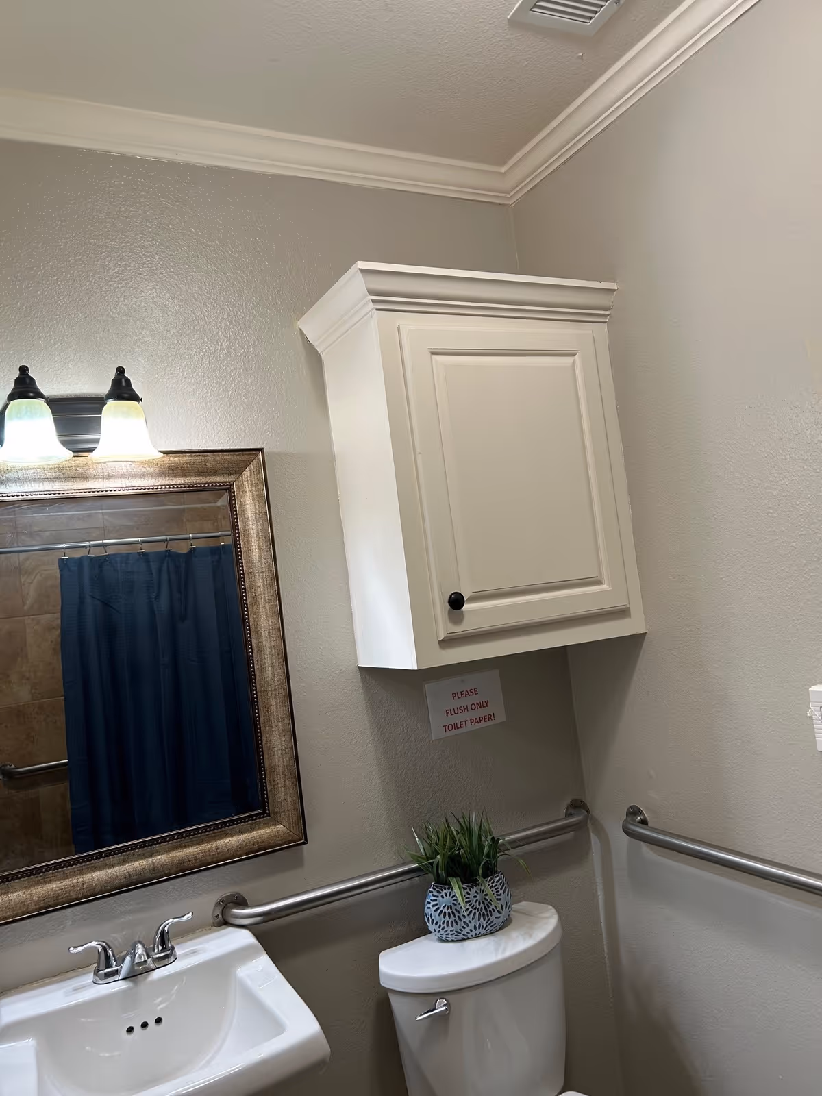 A small bathroom with a white sink and faucet, a large framed mirror above the sink, a white cabinet mounted on the wall, a toilet with a small potted plant on top, and grab bars on the walls. A sign below the cabinet reads 'PLEASE FLUSH ONLY TOILET PAPER!'. The shower curtain is dark blue and visible in the mirror reflection.