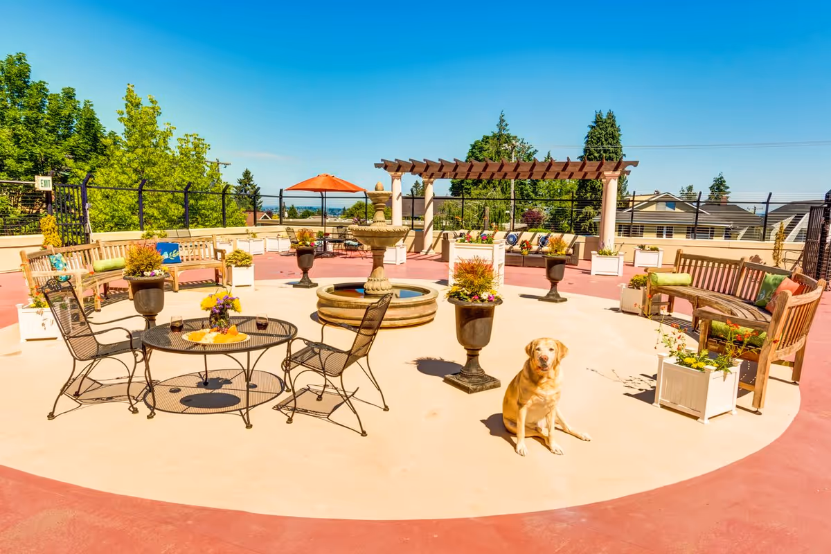 Rooftop patio seating area with tables, benches, a pergola and fountain, potted plants, and a dog sitting in the center.