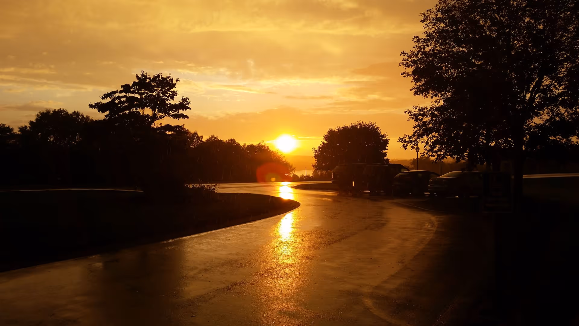 A curved driveway or road at sunset with the sun low on the horizon, casting a golden glow on the wet pavement. Trees and parked cars are visible along the sides of the road.