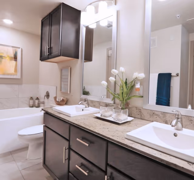 Modern bathroom with a double sink vanity featuring dark wood cabinets and a granite countertop. Above the sinks are two large mirrors with light fixtures. A vase with white tulips and a tray with glass containers are placed on the countertop. In the background, there is a white bathtub, a toilet, a wall-mounted cabinet, a towel rack with a blue towel, and framed artwork on the wall.