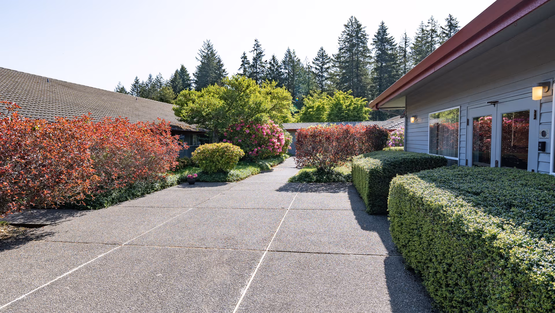 Paved courtyard walkway between low buildings lined with trimmed hedges, flowering bushes, and trees.