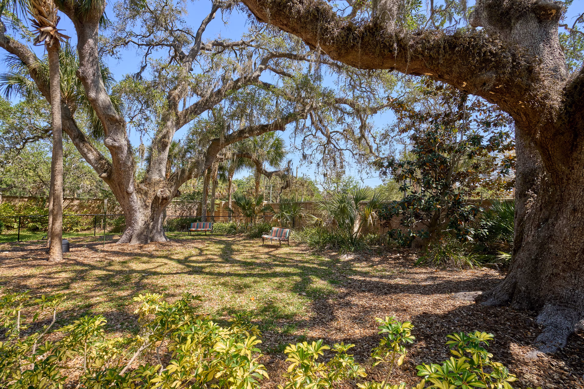A peaceful outdoor garden area with large, mature trees providing shade. Two benches with striped cushions are placed on the grass under the trees. Various shrubs and plants surround the area, and a brick wall encloses the garden. The sky is clear and blue.