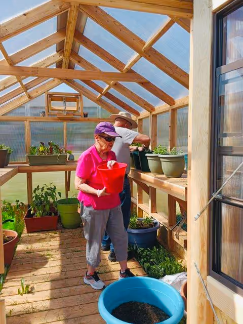 Two elderly individuals gardening inside a wooden greenhouse with transparent roof panels. One person in a pink shirt and purple cap is holding a red bucket, while the other person wearing a hat is tending to plants on a wooden shelf. Various potted plants and gardening supplies are visible around them.
