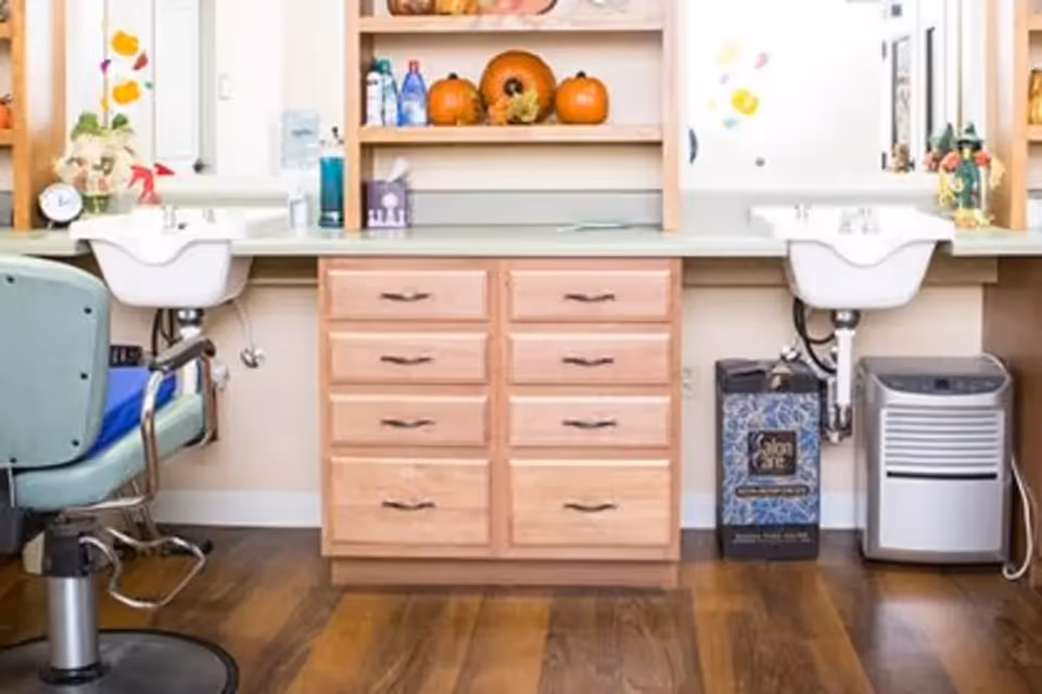 Interior view of a salon area with two white sinks mounted on a countertop, a light wooden cabinet with drawers in the center, a green salon chair on the left, and various decorative items including pumpkins on shelves above the countertop.