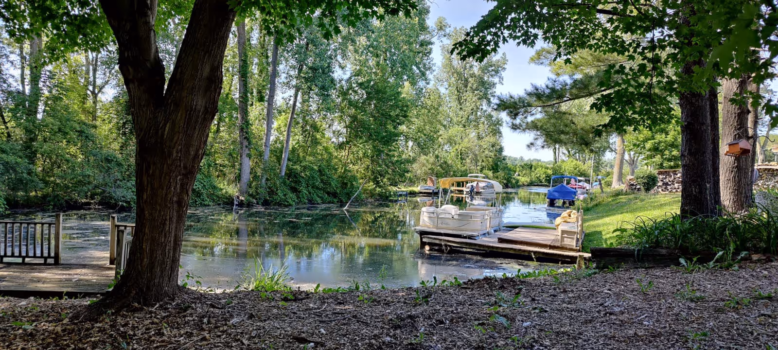A peaceful outdoor scene featuring a small dock with several boats moored on a calm waterway surrounded by lush green trees and foliage under a clear sky.