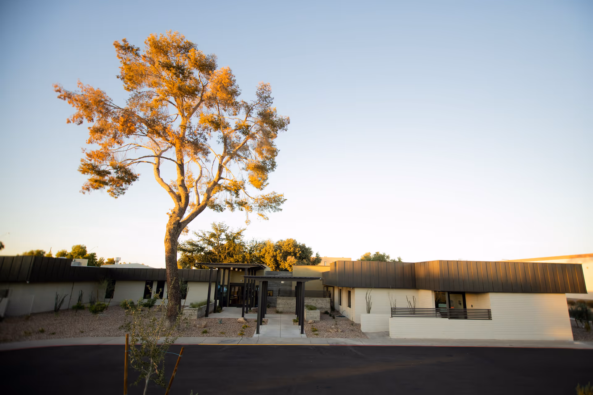 Exterior view of a single-story building with a modern design, featuring a large tree in the foreground and a clear sky in the background. The building has a flat roof with dark trim and light-colored walls, surrounded by a landscaped area with small plants and gravel.