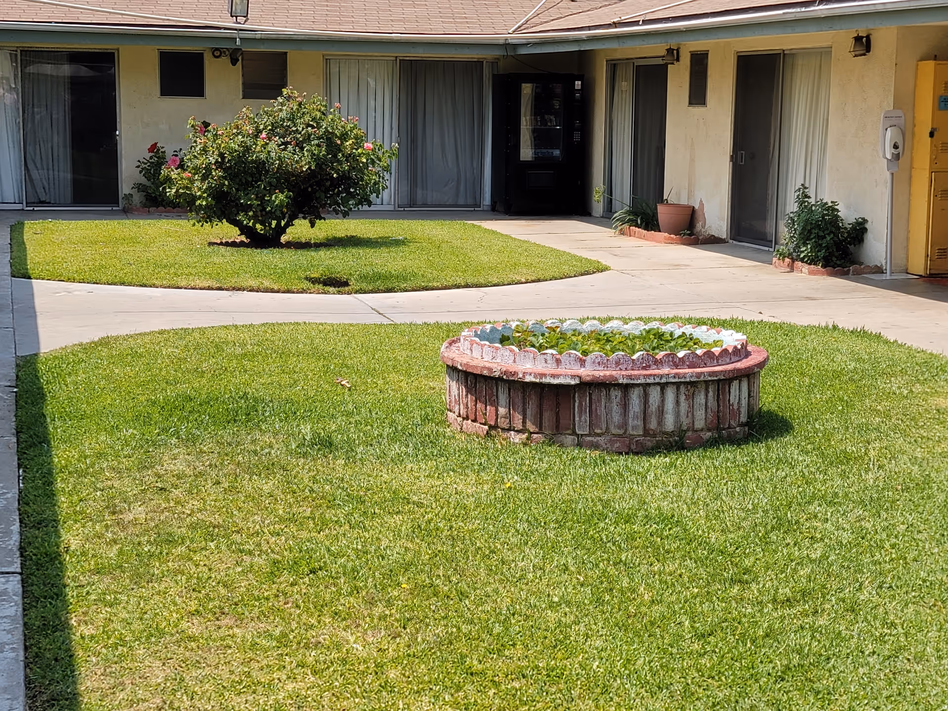 A courtyard area with green grass, a circular brick planter with plants in the center, and a larger bush with flowers near the building. The building has sliding glass doors and windows with curtains, and there are potted plants along the walkway.