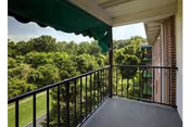 Balcony with metal railing and green awning overlooking a tree-lined lawn next to a brick building.