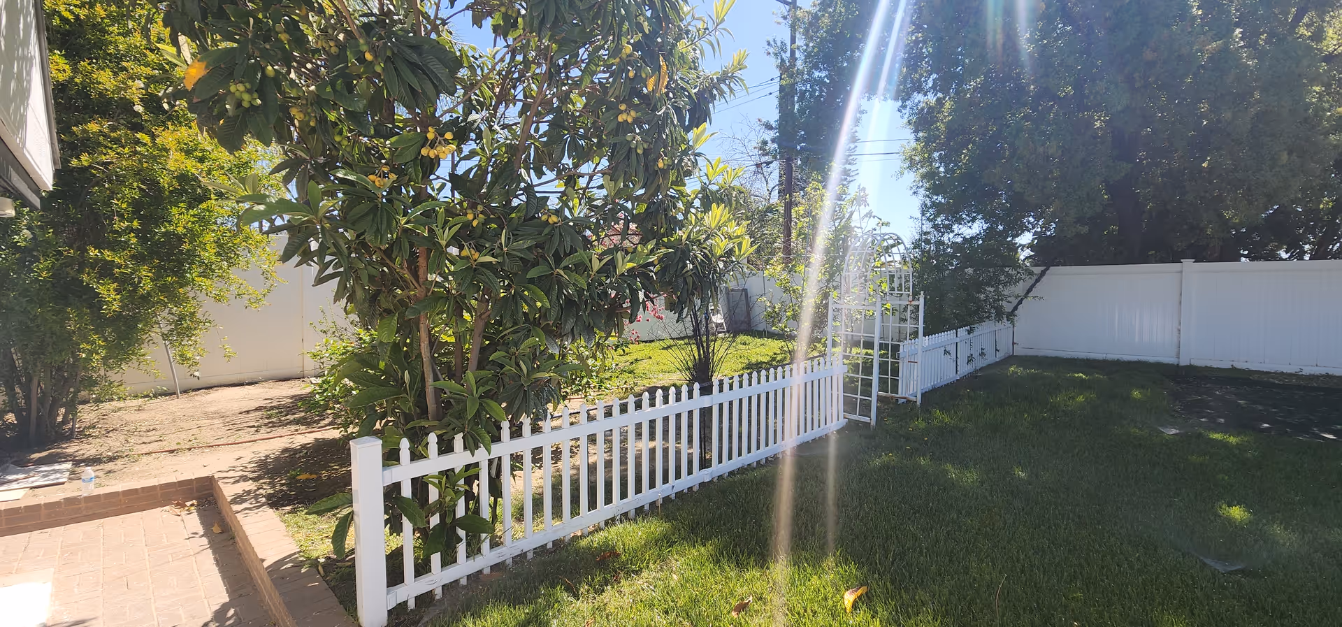 A sunny outdoor garden area with green grass, trees, and a white picket fence. There is a white gate and a white privacy fence surrounding the yard. Sunlight creates a lens flare effect in the image.