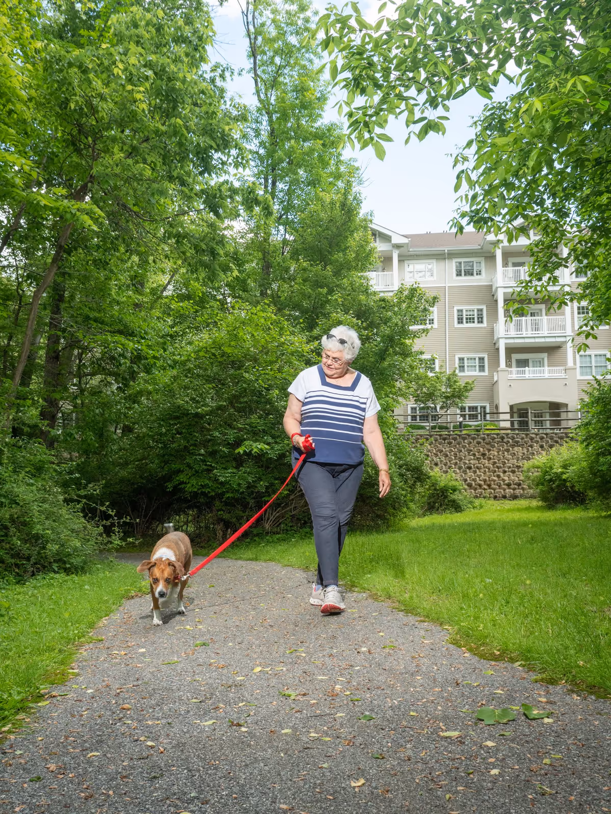 An elderly woman walking a dog on a leash along a paved path surrounded by lush green trees and grass, with a multi-story residential building in the background.