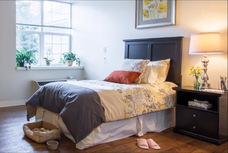A cozy bedroom with a neatly made bed featuring floral and solid color bedding. There is a dark wooden headboard and a nightstand with a lamp, a small vase with yellow flowers, and some items on top. A large window with blinds lets in natural light, and there are several potted plants on the windowsill. On the floor near the bed are a pet bed, a bowl, and a pair of pink slippers.