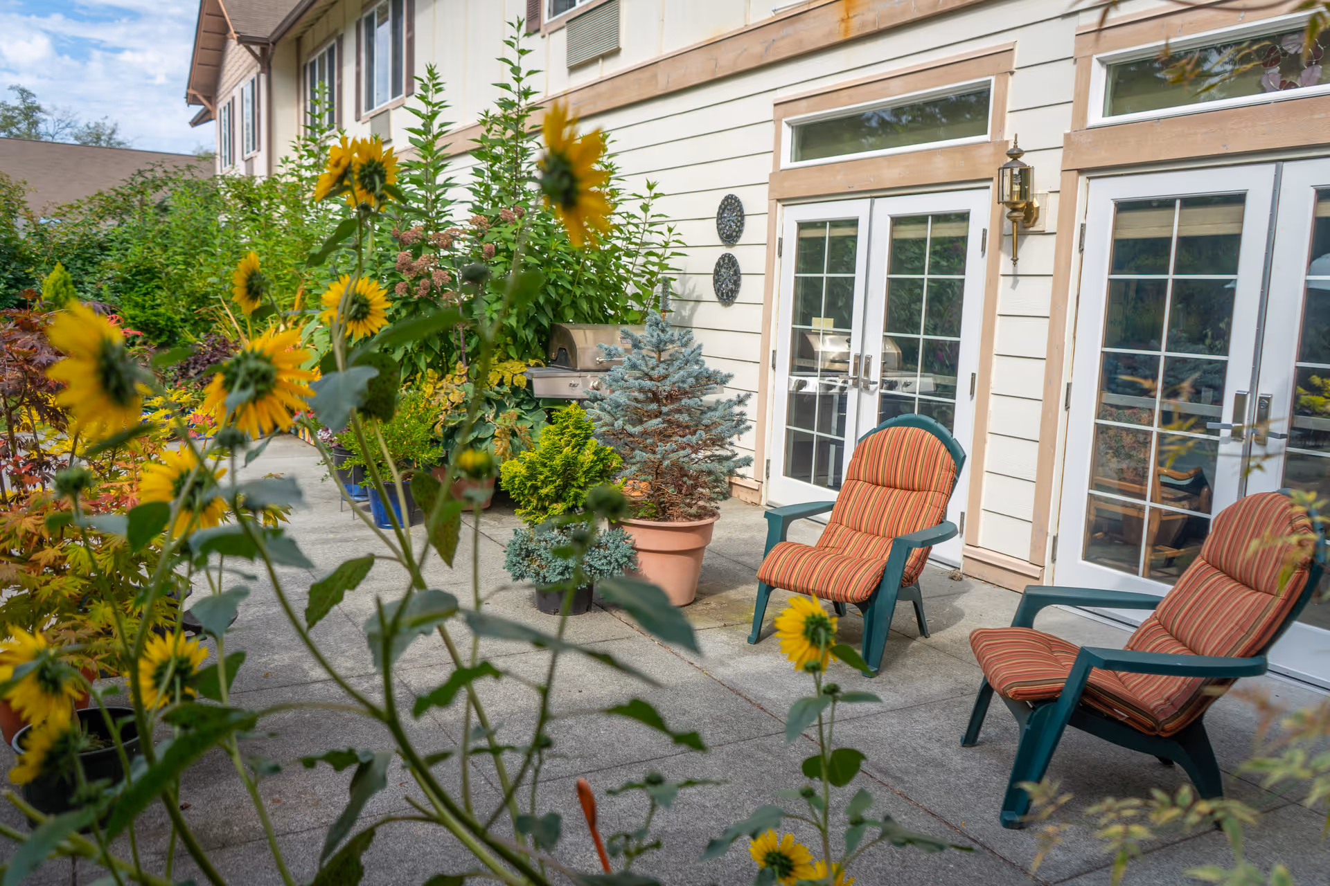 Sunny outdoor patio with sunflowers, potted plants, and two striped cushioned chairs in front of French doors.