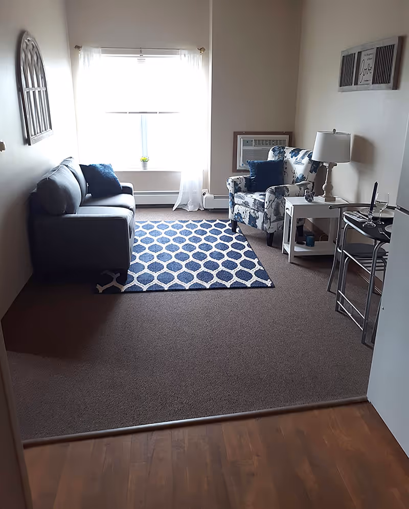 Small living room with a gray sofa, floral armchair, blue geometric rug and a bright window.