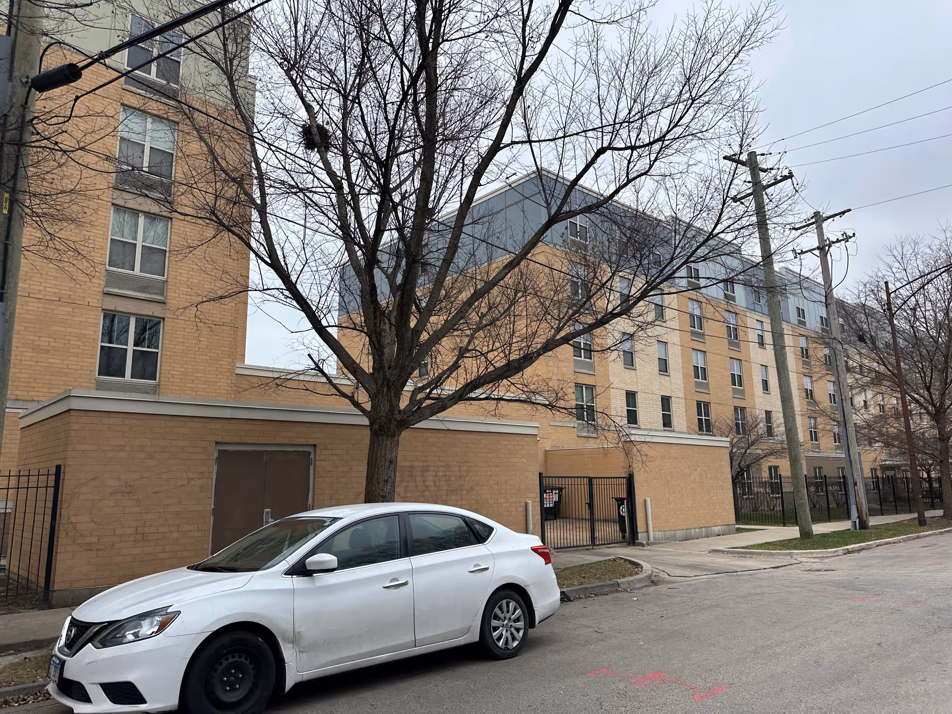 Exterior view of a multi-story brick and panel building with several windows, a tree without leaves in front, a white car parked on the street, and utility poles with power lines.