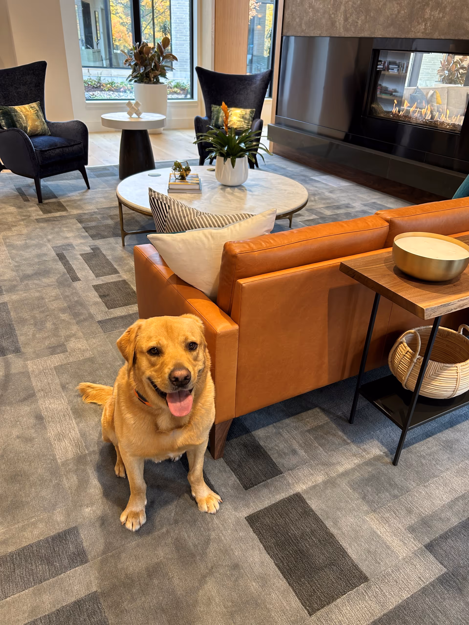 A cozy living room area with a tan leather sofa, two dark blue armchairs, a round marble coffee table with plants and books, and a modern fireplace. A happy golden retriever dog is sitting on a patterned carpet in the foreground.