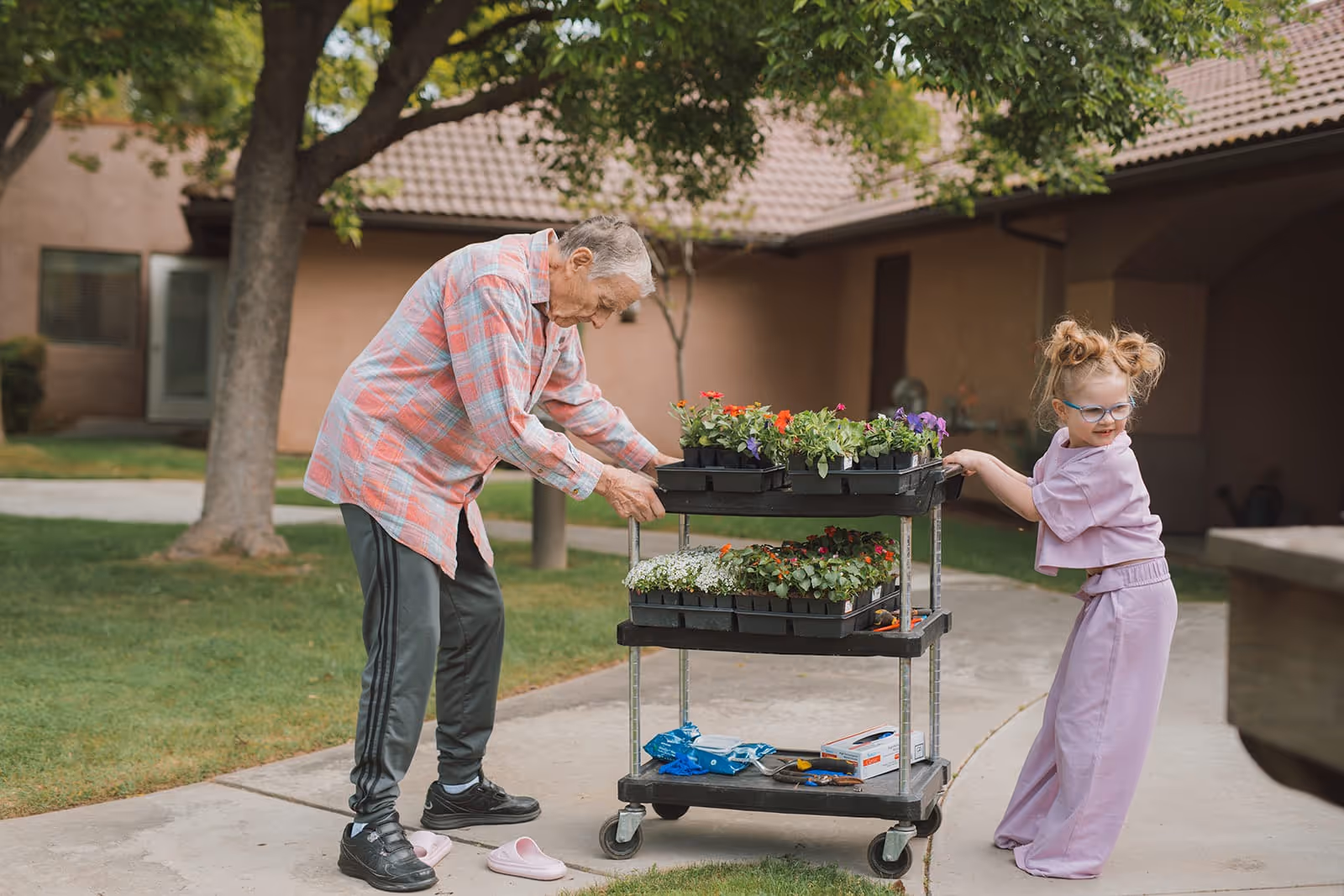 An elderly man and a young girl are outdoors at a senior living facility. The man is wearing a pink plaid shirt and dark pants, and the girl is dressed in a light purple outfit with glasses. They are both pushing a cart filled with trays of colorful flowers and gardening supplies on a paved pathway with grass and trees around them. The building with a tiled roof is visible in the background.