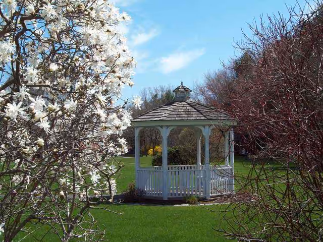 A white wooden gazebo with a shingled roof situated on a green lawn, surrounded by blooming trees with white flowers on the left and bare branches on the right under a blue sky with some clouds.