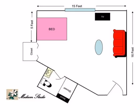 Floor plan diagram of a medium studio apartment showing a bed, closet, bathroom with shower and toilet, a sofa, TV, and room dimensions.