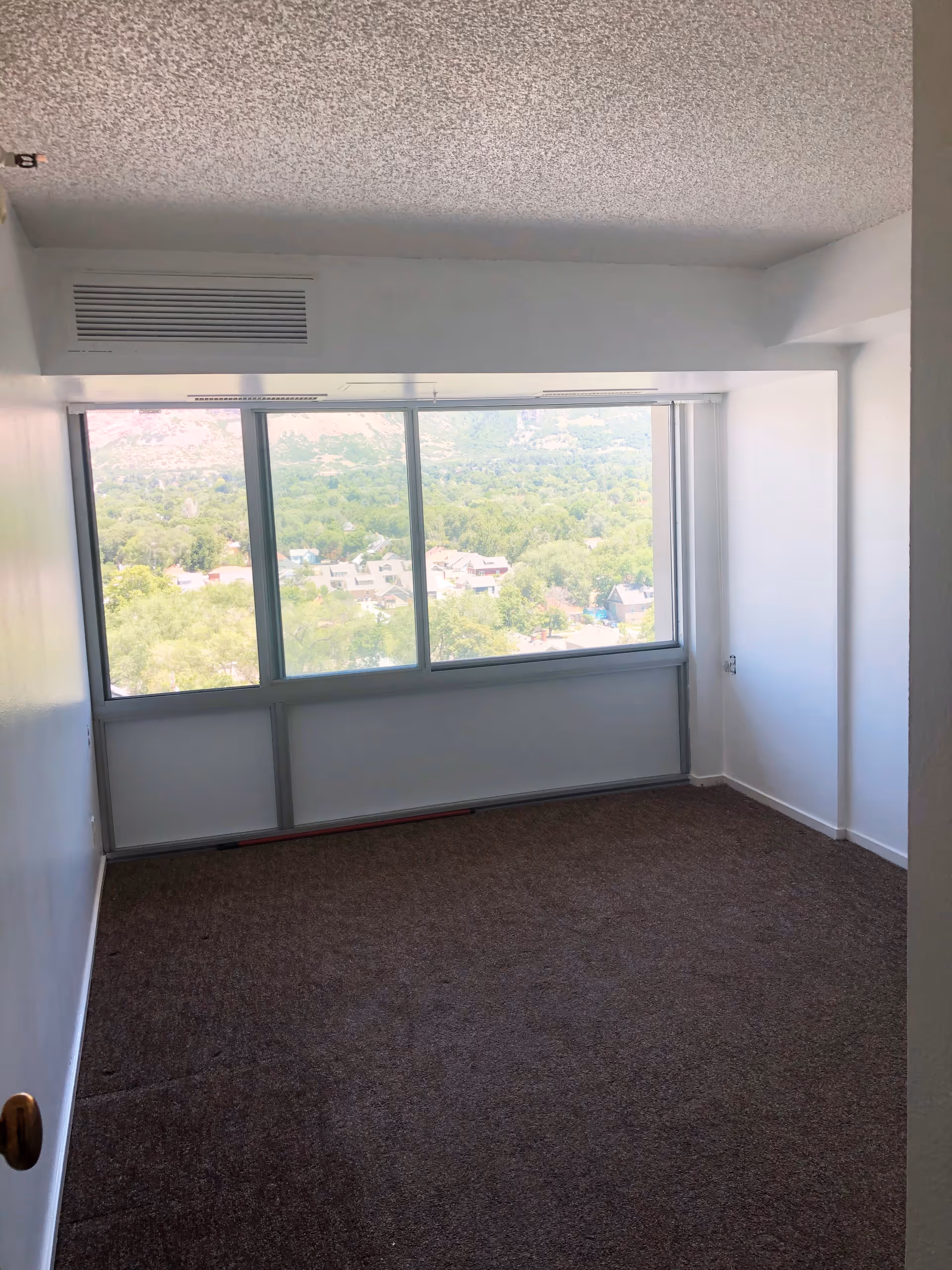 Empty room with brown carpet, white walls, and a large window showing a view of trees and houses outside.