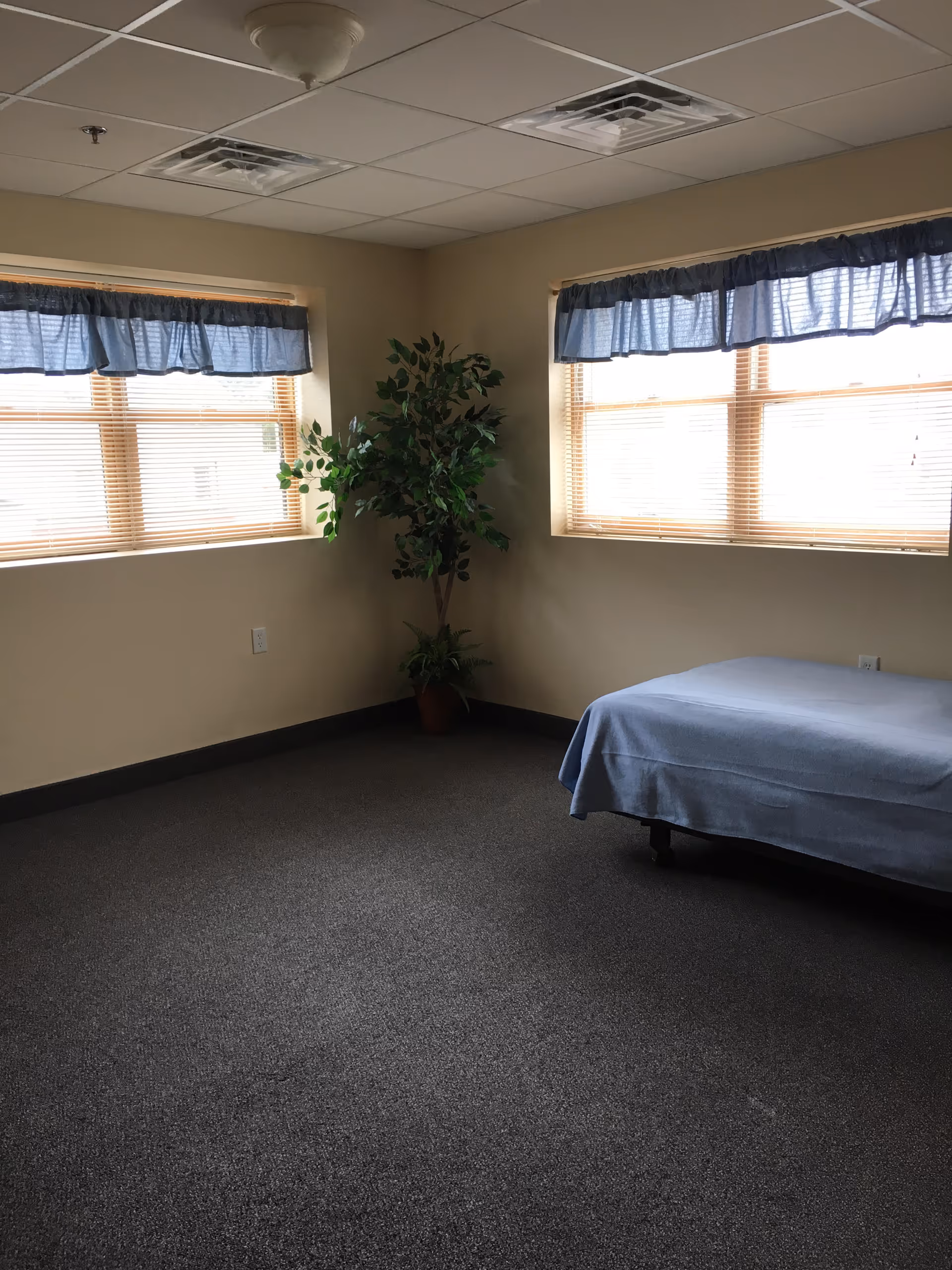 A simple room with two large windows covered by blue valances, a single bed with a blue blanket, a potted plant in the corner, beige walls, and a gray carpeted floor.