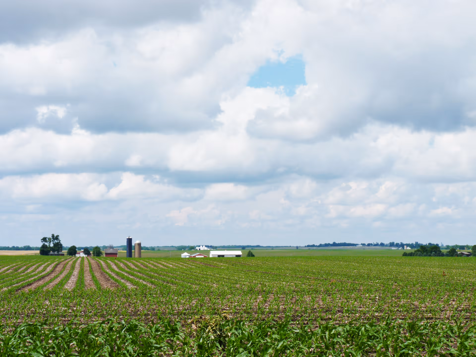 A vast agricultural field with rows of crops extending into the distance under a partly cloudy sky. In the background, there are several farm buildings and silos scattered across the flat landscape.