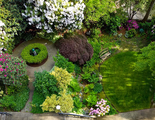 A vibrant garden area with various green shrubs, flowering plants, and a small circular hedge surrounding a decorative element. There is a small wooden bench on the right side near a neatly trimmed grassy area, with a concrete pathway visible at the bottom.
