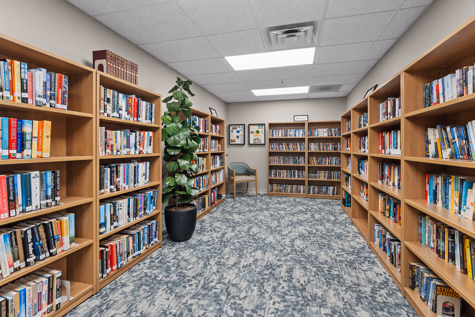 Interior view of a library room with wooden bookshelves filled with books on both sides and at the back wall. A potted plant is placed near the left shelves, and a single chair is positioned against the back wall beneath framed pictures. The room has a patterned carpet and a drop ceiling with fluorescent lights.