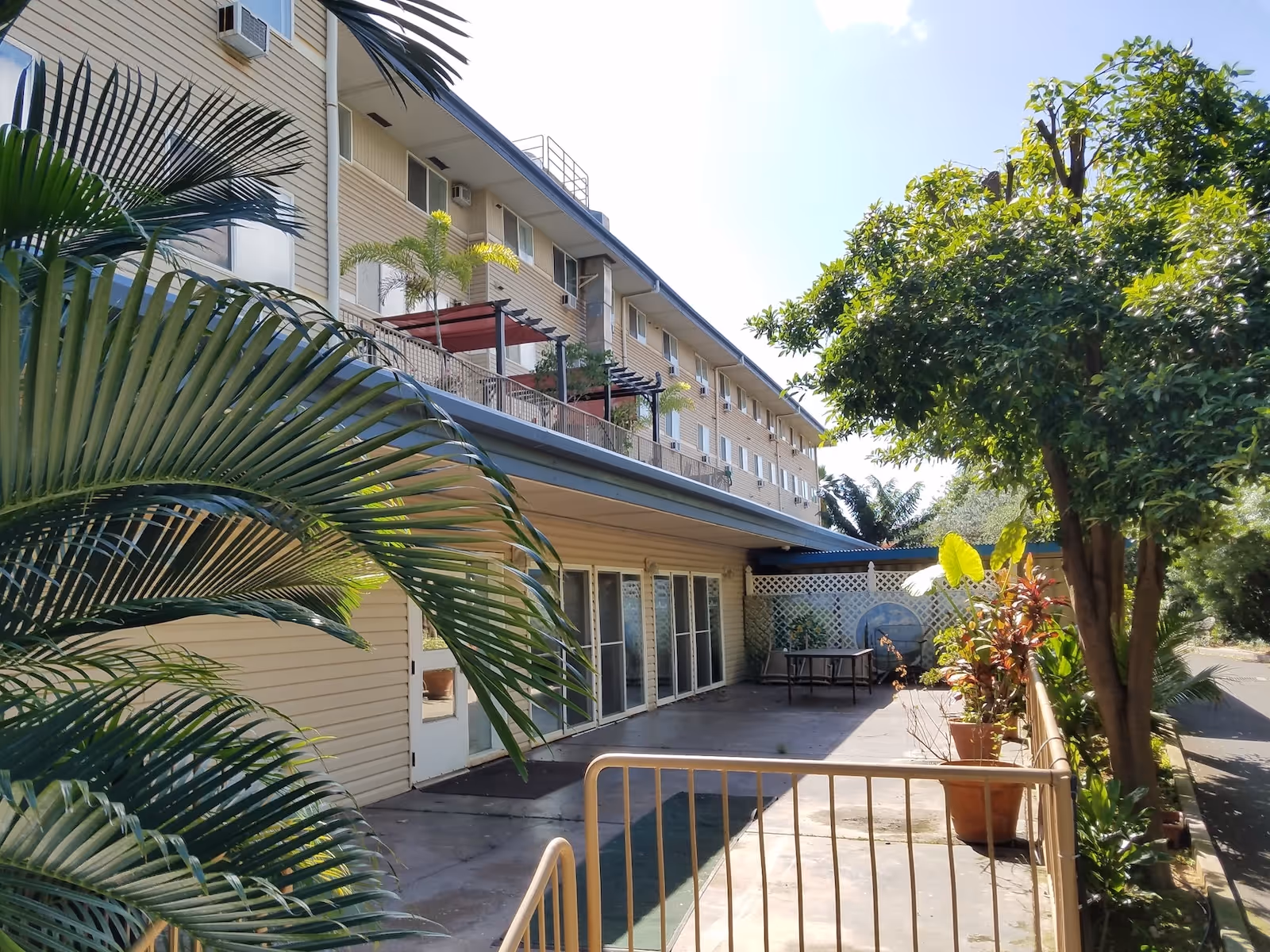 Exterior view of a multi-story building with beige siding, several windows, and balconies with plants. The foreground shows a paved patio area with potted plants and a metal railing, surrounded by lush green trees and palm leaves under a clear blue sky.