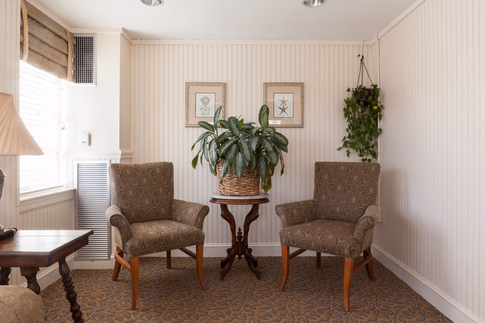 A cozy sitting area with two patterned armchairs facing each other, separated by a small round wooden table with a large potted plant. The walls are light-colored with vertical paneling, decorated with two framed starfish pictures and a hanging plant. A window with blinds and a lamp on a wooden side table are visible on the left side.