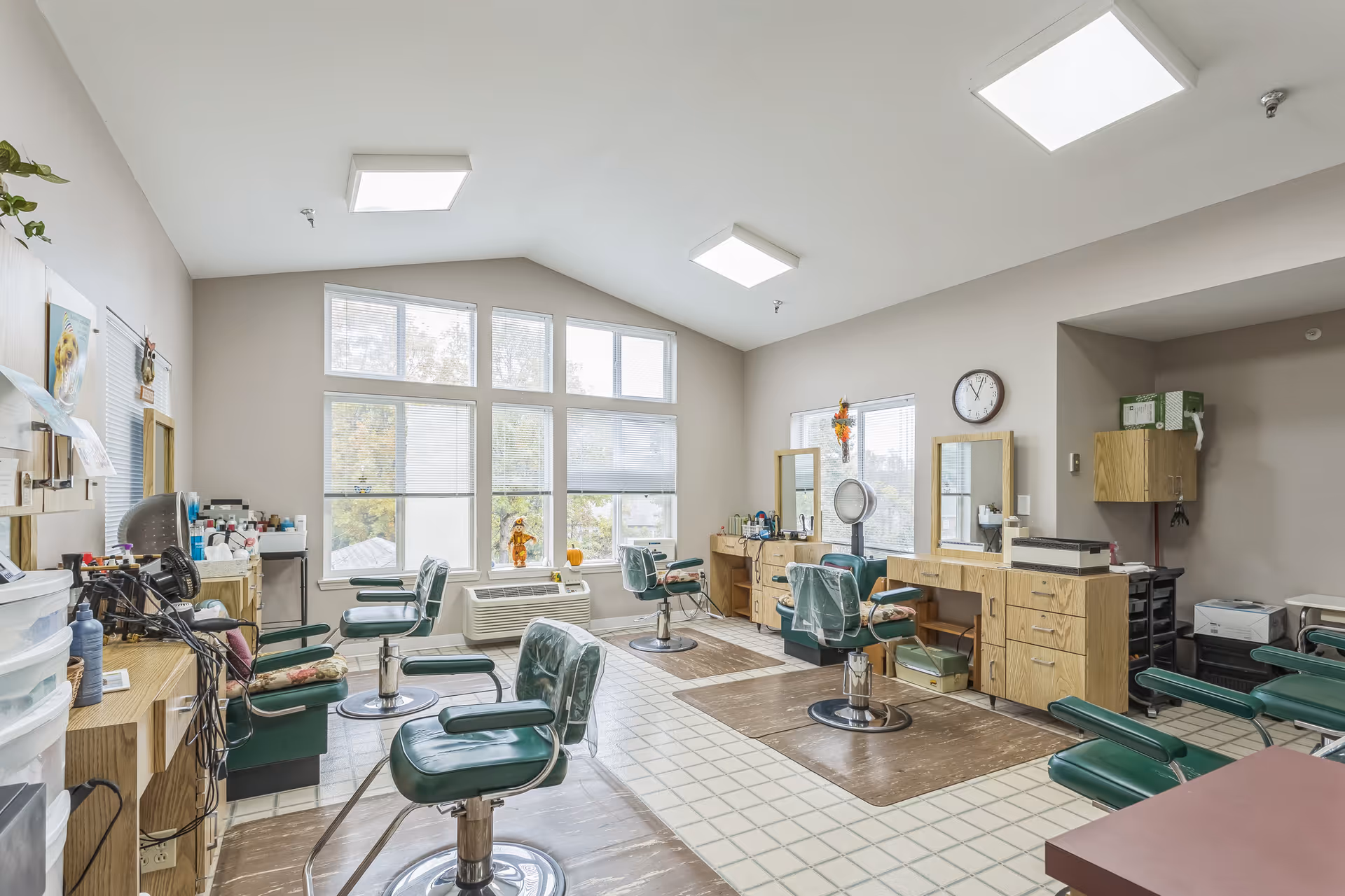 Sunlit salon with several green styling chairs, mirrors, and workstations arranged around large windows.