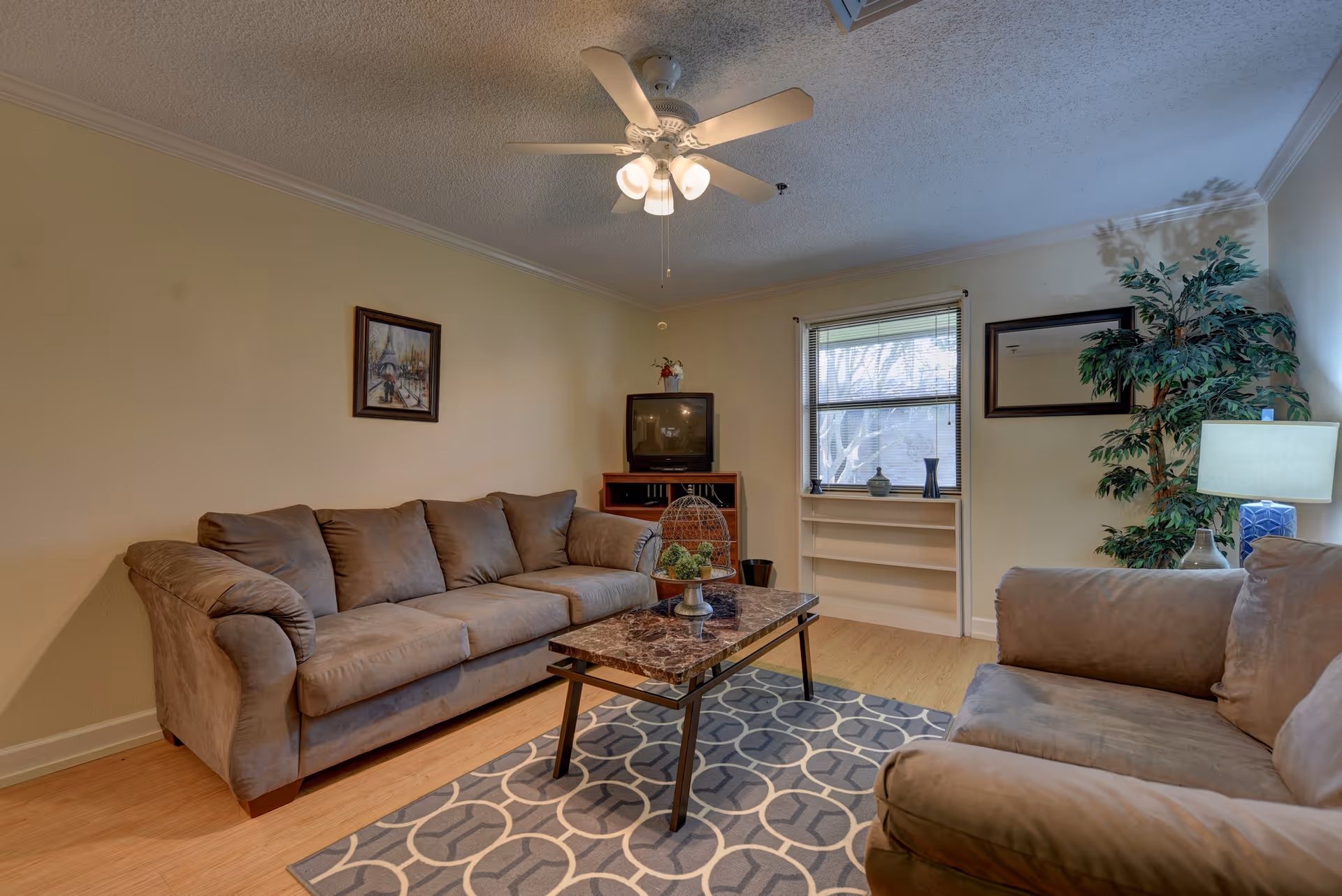 A cozy living room with two brown sofas facing each other, a patterned rug, a rectangular coffee table with decorative items, a ceiling fan with lights, a window with blinds, a potted plant, a lamp on a side table, a framed picture on the wall, and an old-style television on a wooden stand.