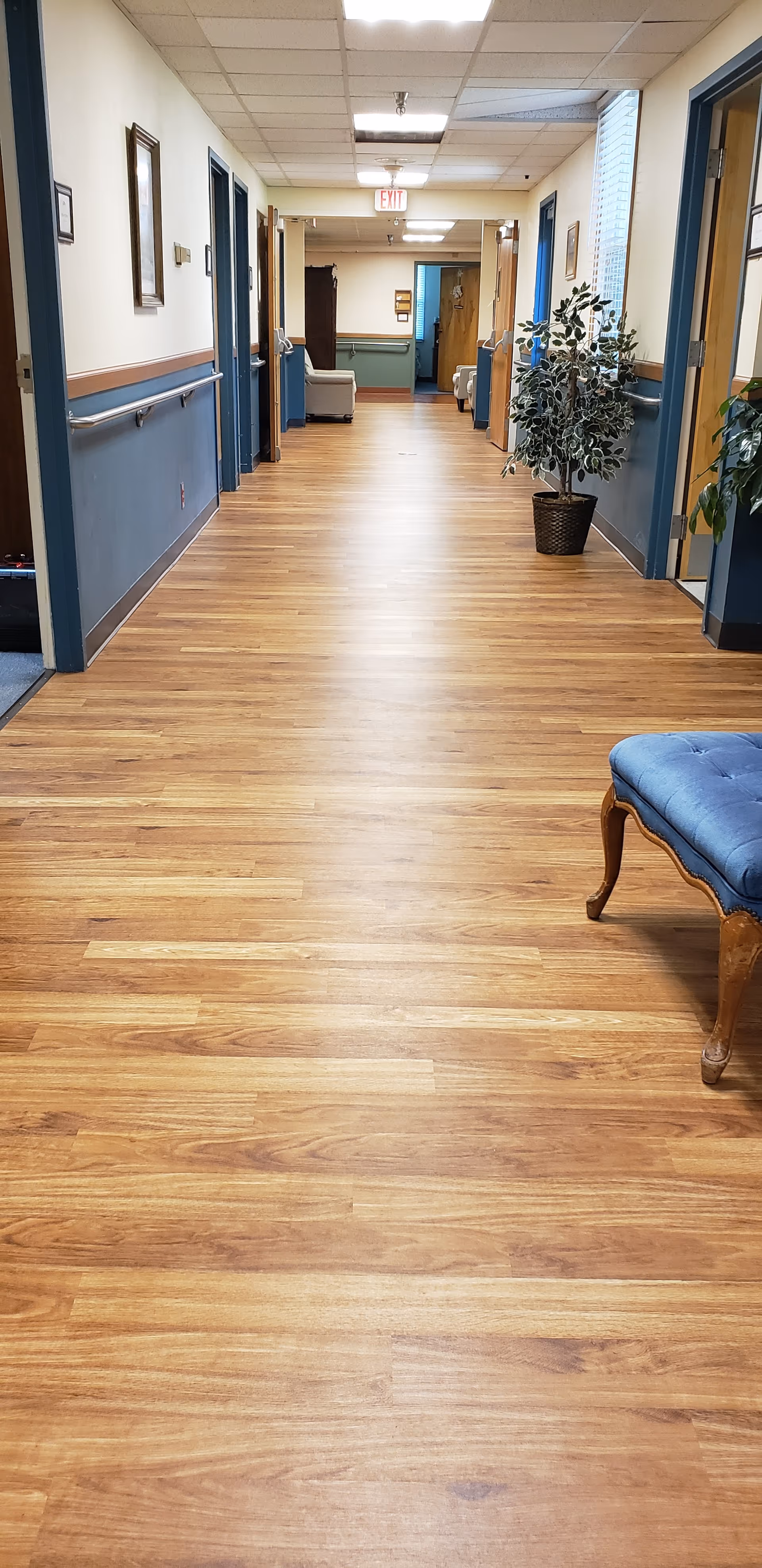 A long, clean hallway in a senior living facility with wooden flooring and blue and beige walls. There are handrails along the walls, a potted plant on the right side, and a blue cushioned bench partially visible in the foreground. Several doors line the hallway, and an exit sign is visible at the far end.