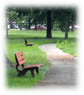 Park-like grassy area with two wooden benches beside a winding paved path under trees.