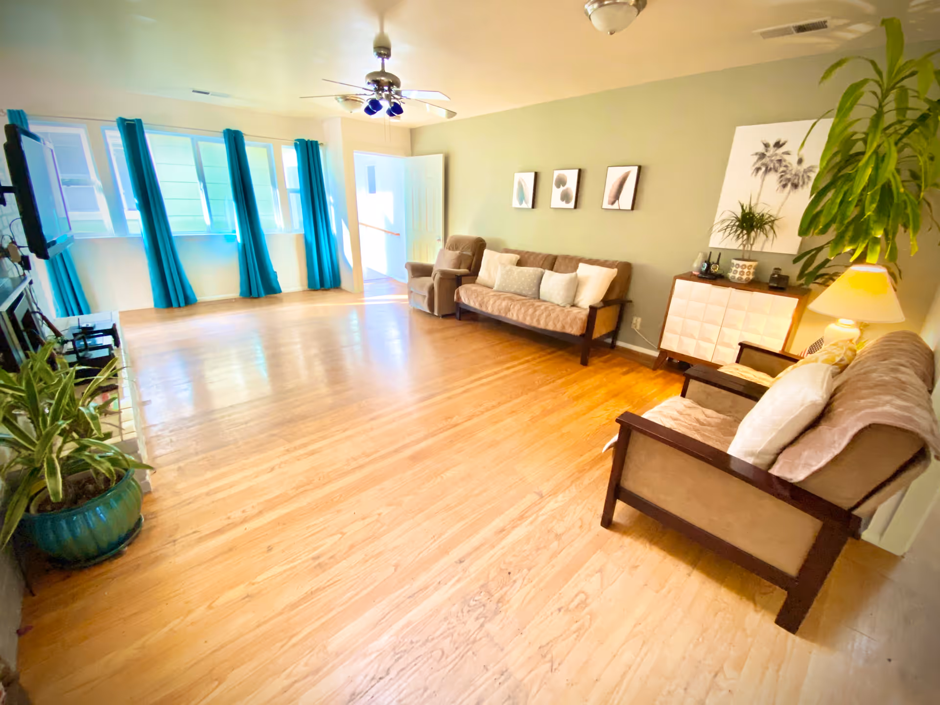 A bright living room with wooden floors, two sofas with cushions, an armchair, a small cabinet with decorative items, a potted plant, and blue curtains on windows letting in natural light.