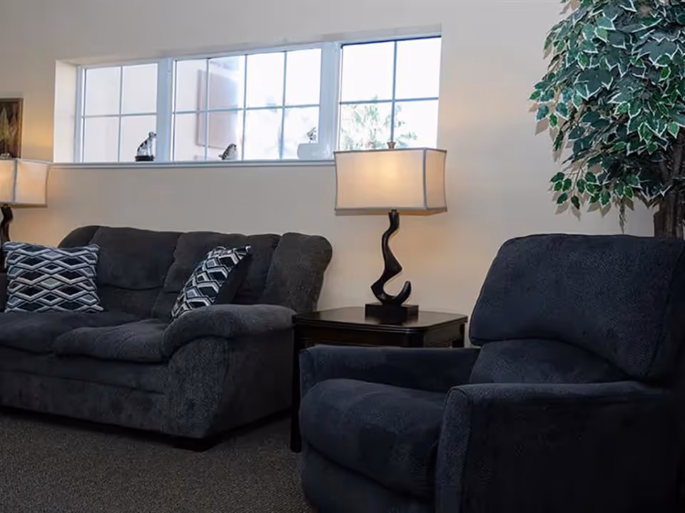 A cozy living room area with a dark gray sofa adorned with patterned pillows, a matching dark gray armchair, a side table with a modern lamp, and a large leafy plant in the corner. There is a window above the sofa letting in natural light.