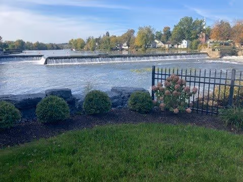 A scenic outdoor view featuring a flowing river with a small waterfall, a grassy area with neatly trimmed bushes and a flowering plant, and a black metal fence. Trees and houses are visible in the background under a clear blue sky.