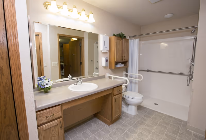 A clean and accessible bathroom with a large mirror above a countertop sink, wooden cabinets, a toilet with grab bars, and a walk-in shower with a white curtain and grab bars.