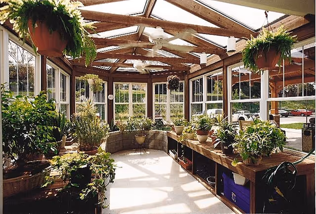 Sunlit conservatory-style interior with wooden beams, skylights and numerous potted and hanging plants on shelves.