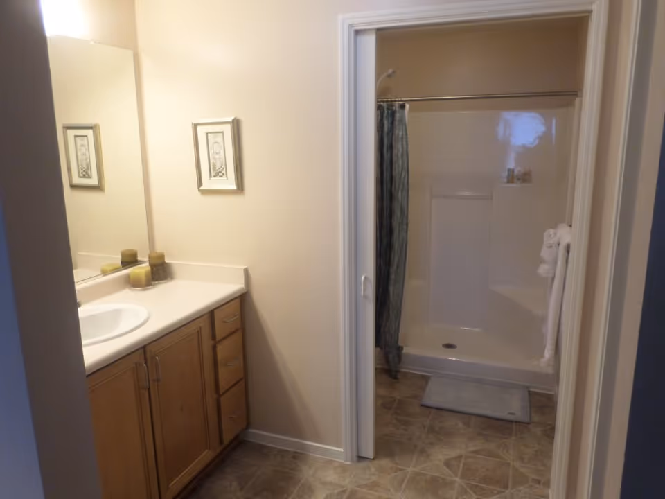 Bathroom with a wooden vanity cabinet, white countertop and sink, a large mirror above the sink, a framed picture on the wall, and a shower area with a curtain and a towel hanging on the side.