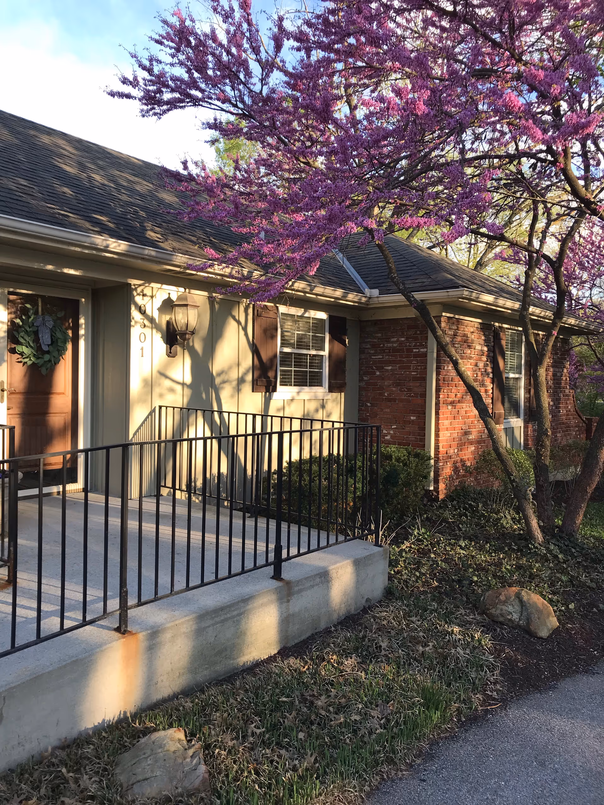 Front entrance of a single-story brick house with a concrete porch and black metal railing under a blooming pink-flowered tree.