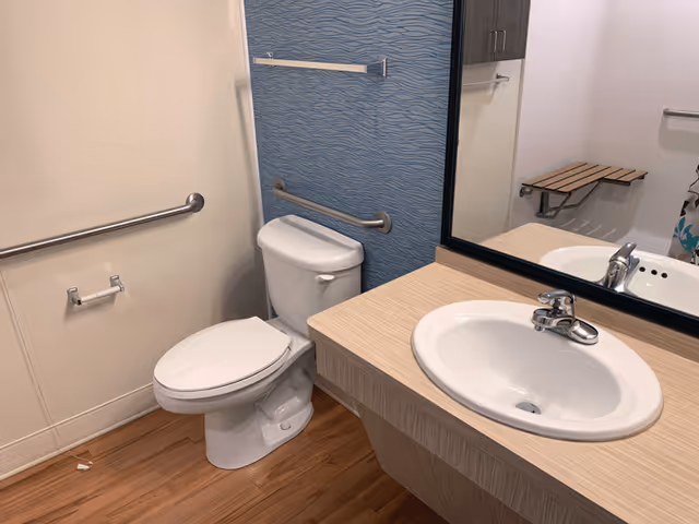 A clean and accessible bathroom featuring a white toilet with grab bars on the adjacent walls, a wooden floor, a sink with a chrome faucet set in a light wood vanity, a large mirror above the sink, and a foldable shower seat visible in the reflection.