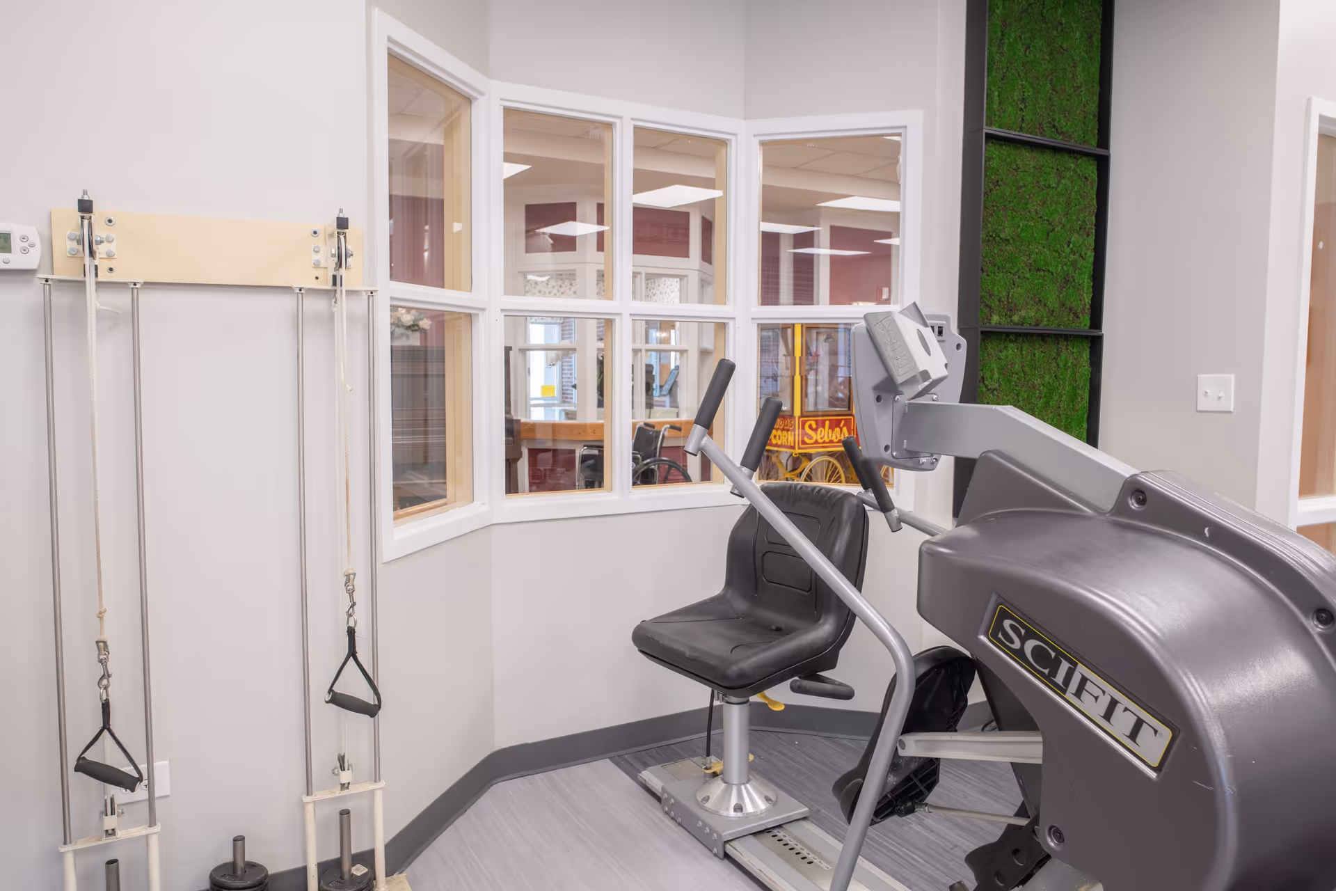 A small exercise room with a SciFit exercise machine featuring a black seat and handles. There are two pulley systems with handles attached to the wall on the left side. The room has light gray walls, a window with white frames looking into another room, and a vertical green moss wall panel on the right.