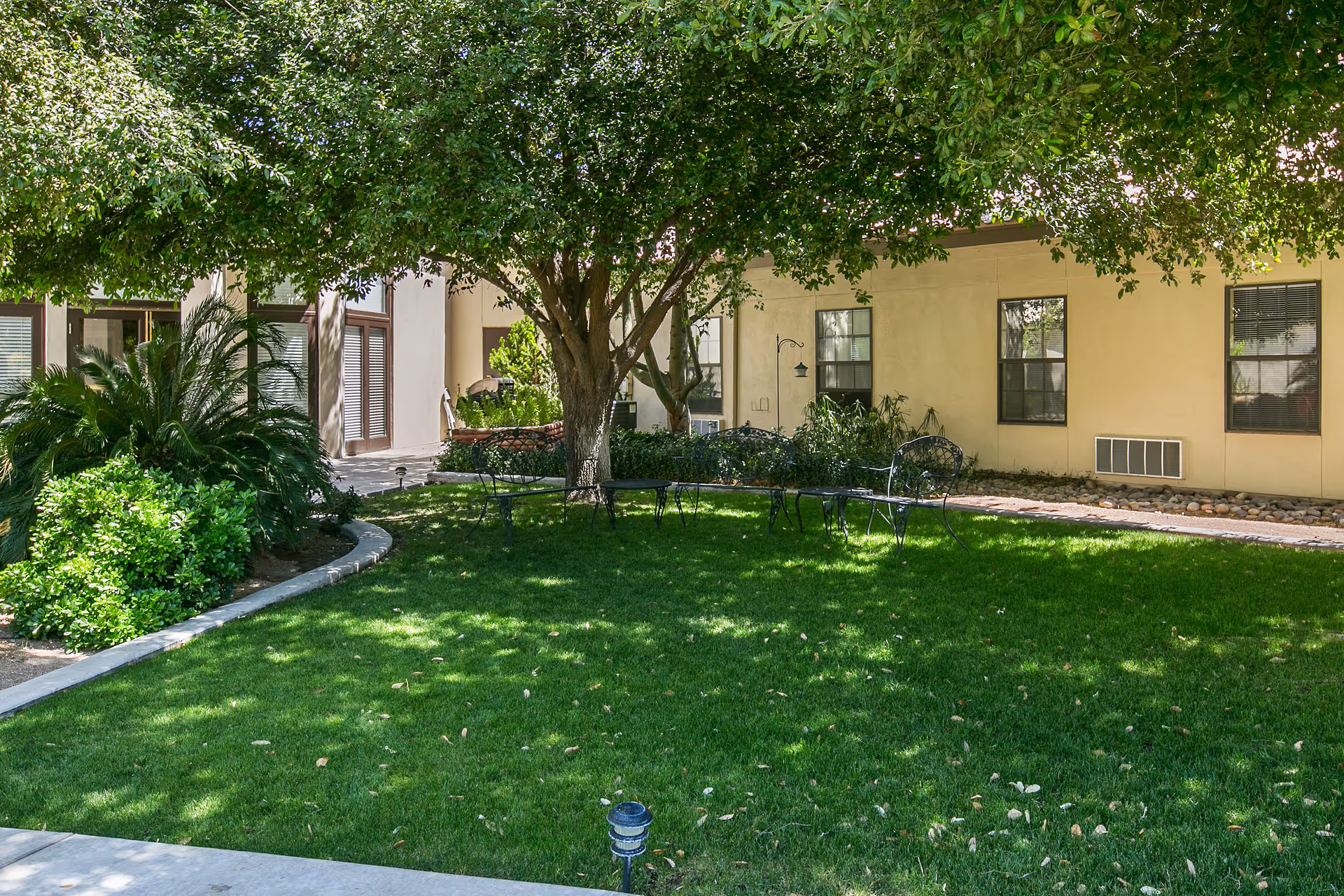 A shaded outdoor garden area with a large tree providing shade over a green lawn. There are several black metal benches and chairs arranged in a semi-circle under the tree. Surrounding the lawn are bushes and plants, and a beige building with windows is visible in the background.