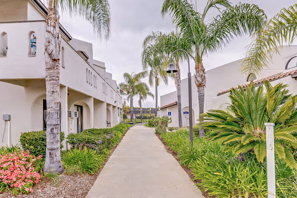 A paved walkway lined with green plants and palm trees runs between two white stucco buildings with arched doorways and windows under a cloudy sky.